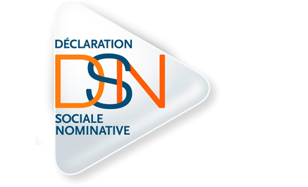 DSN logo